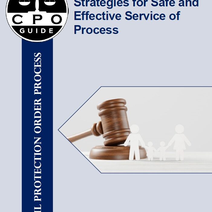 Civil Protection Orders: Strategies for Safe and Effective Service of ...