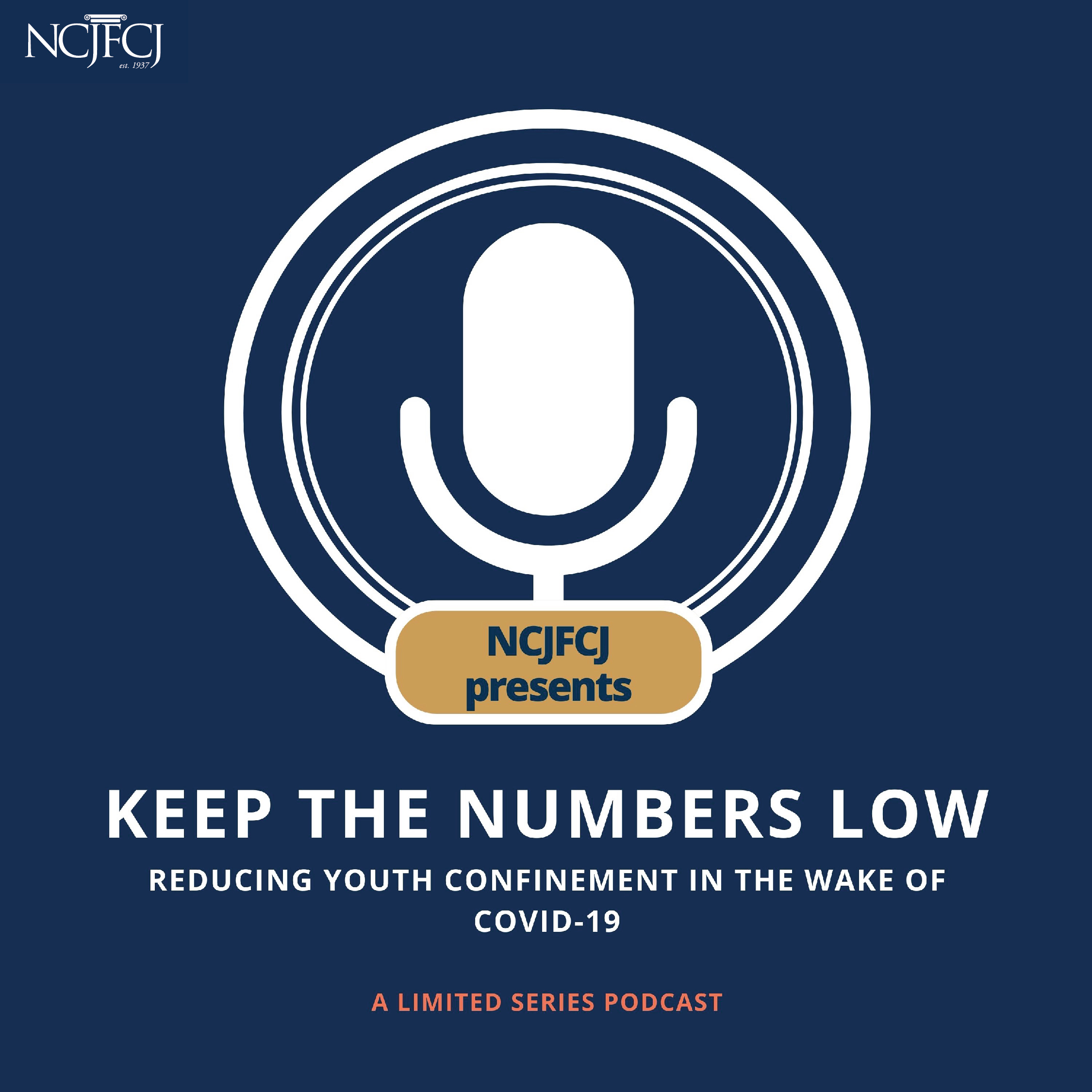 Keep The Numbers Low: Reducing Youth Confinement in the Wake of COVID-19: One State’s Journey to Limit Youth Confinement