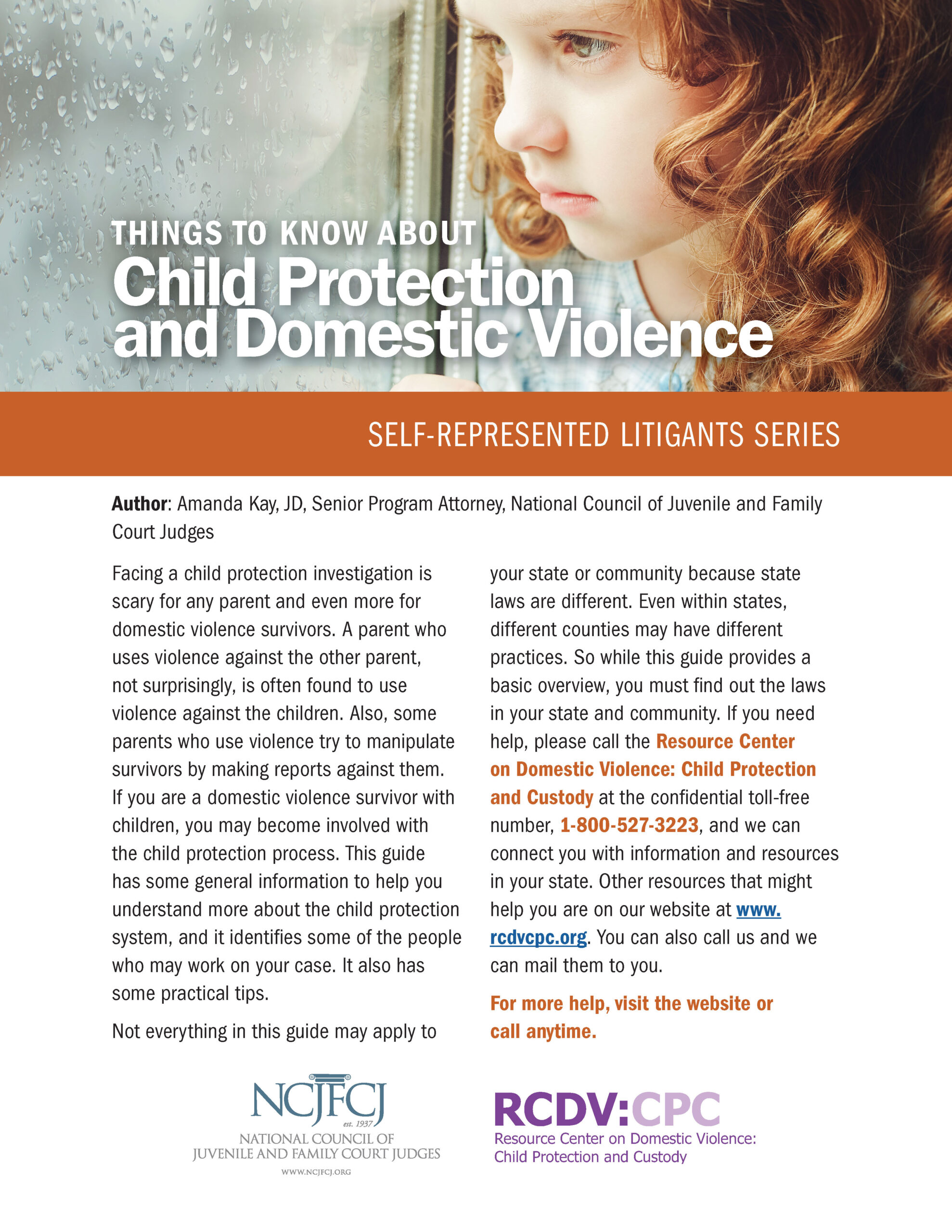 Things to Know About Child Protection and Domestic Violence