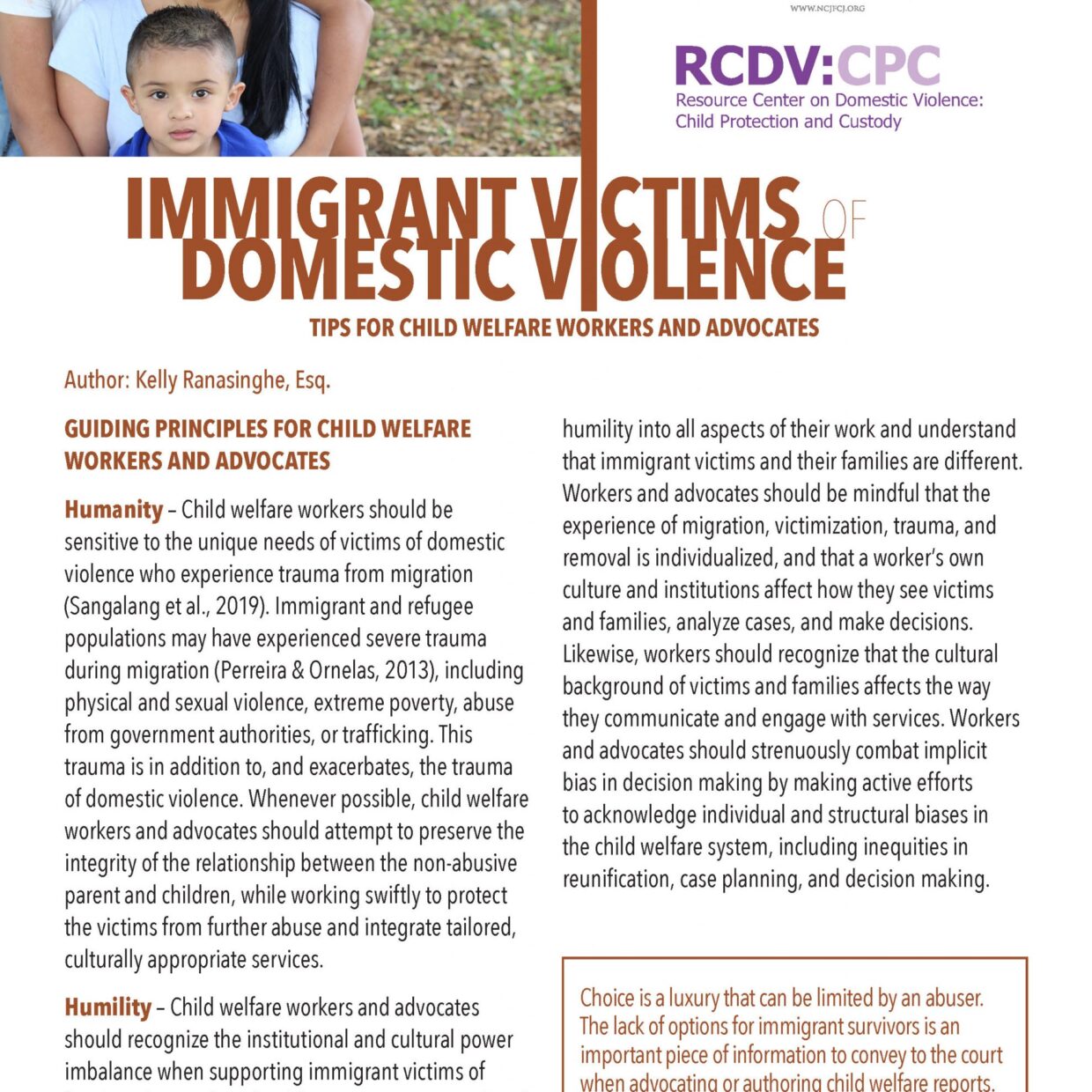 Immigrant Victims of Domestic Violence: Tips for Child Welfare Workers ...