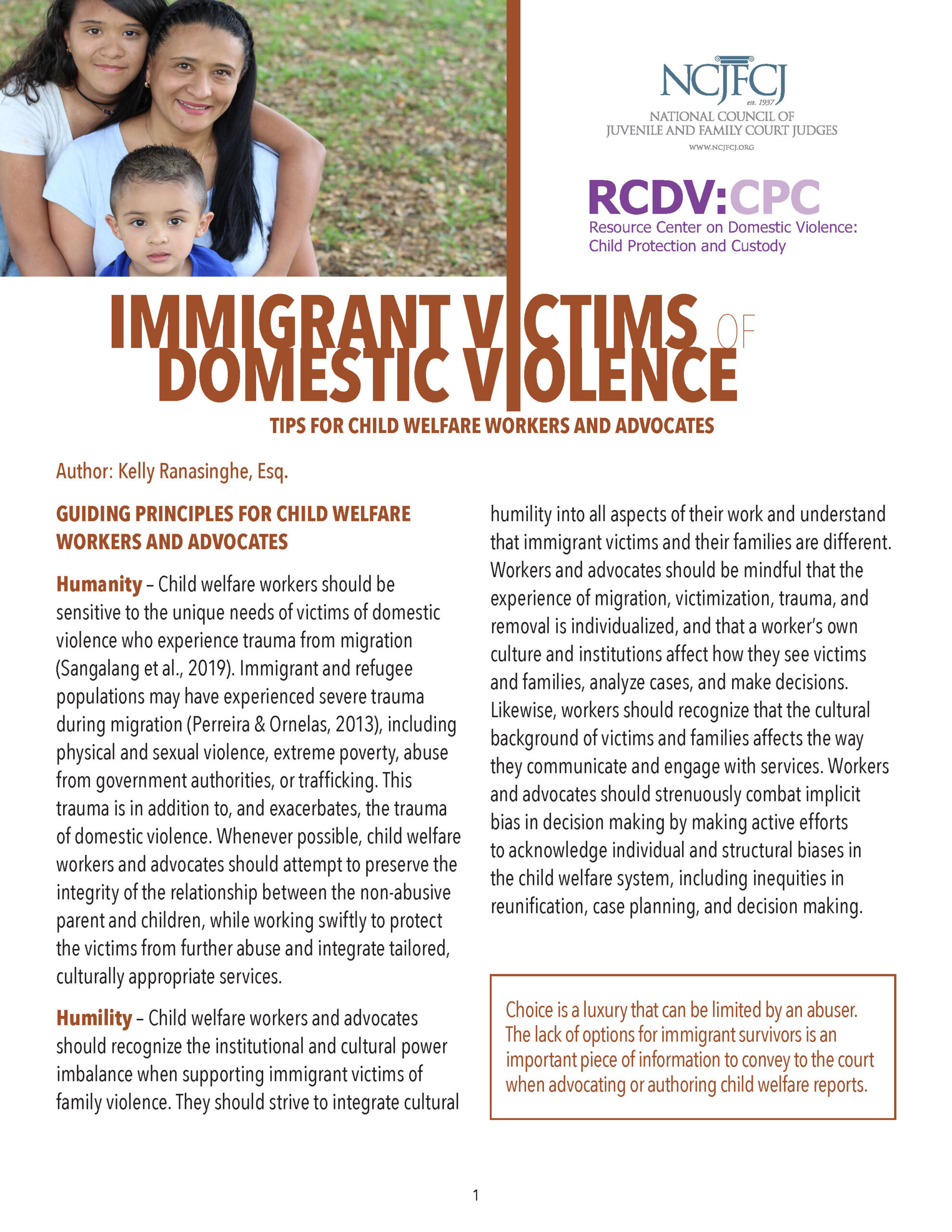 Immigrant Victims of Domestic Violence: Tips for Child Welfare Workers and Advocates