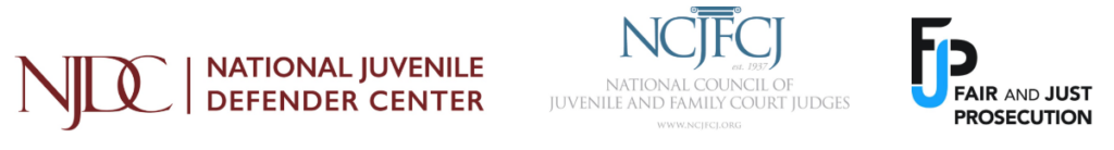 NJDC, NCJFCJ, FJP logos